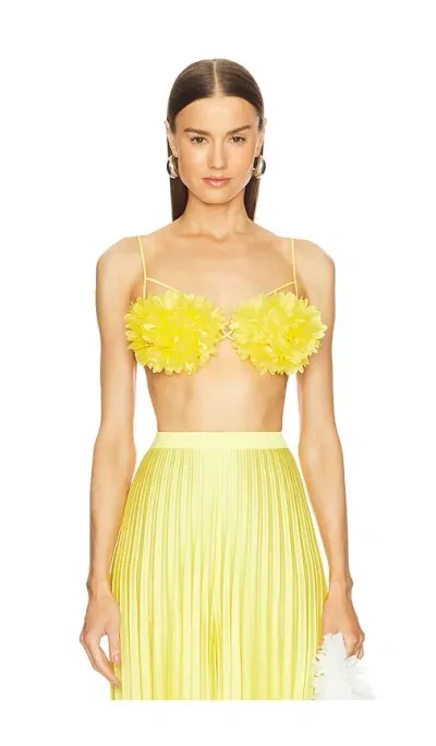 Selezza London Annie Floral Bustier In Yellow