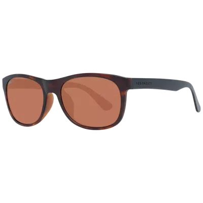 Serengeti Rengeti Unix Sunglass In Brown