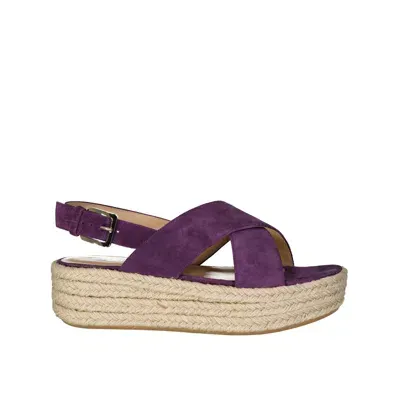 Sergio Rossi Leather Espadrilles In Purple