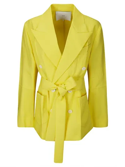 Setchu Origami Jkt In Yellow