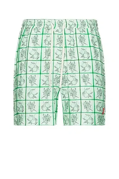 Siedres Blake Short In Green