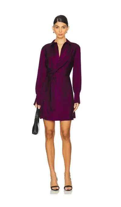 Simkhai Talit Draped Front Mini Dress In Acai