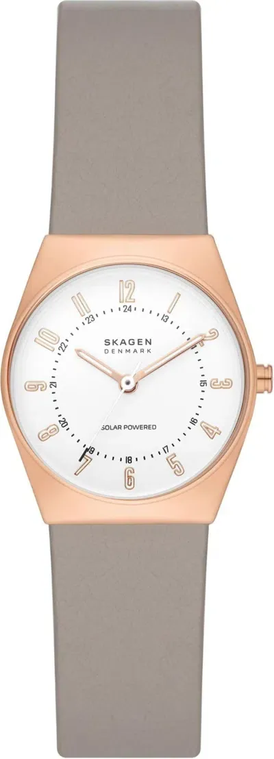 Skagen Denmark Skagen Mod. Grenen Lille Solar In Gray