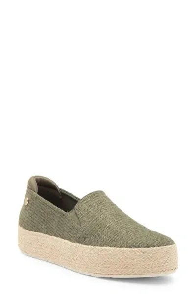 Skechers X Martha Stewart Bobs Sesame Slip-on Sneaker In Olive