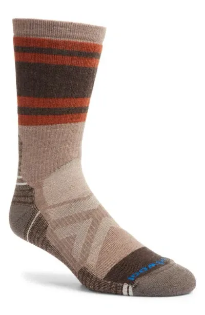 Smartwool Hike Full Cushion Lolo Trail Wool Blend Crew Socks In Brown