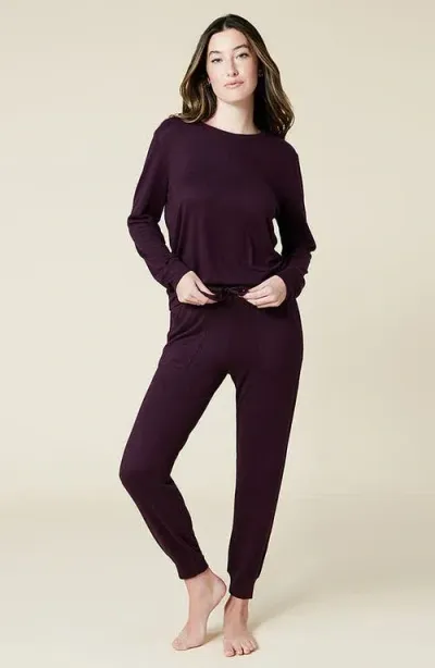 Softies Dream Jersey Long Sleeve Crew Neck Lounge Set With Jogger Pant In Fig