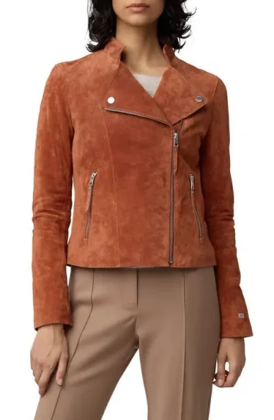 Soia & Kyo Saskia Suede Moto Jacket In Copper