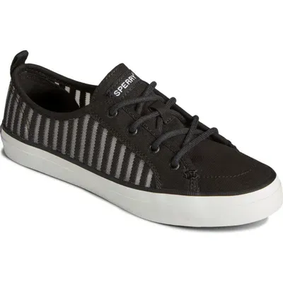 Sperry Crest Vibe Pack 4 Sneaker In Black