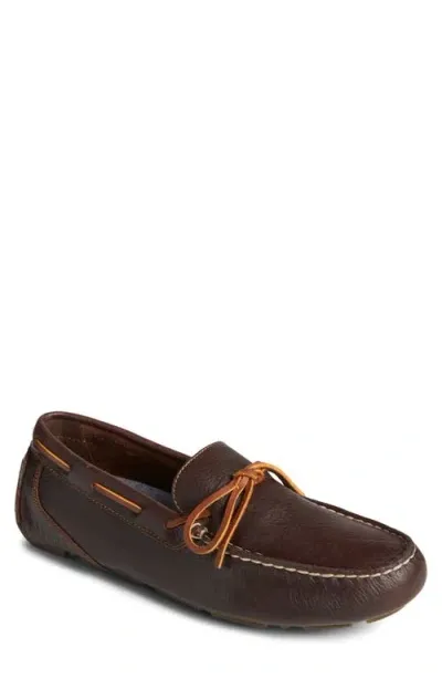 Sperry Davenport Driving Shoe In Brown