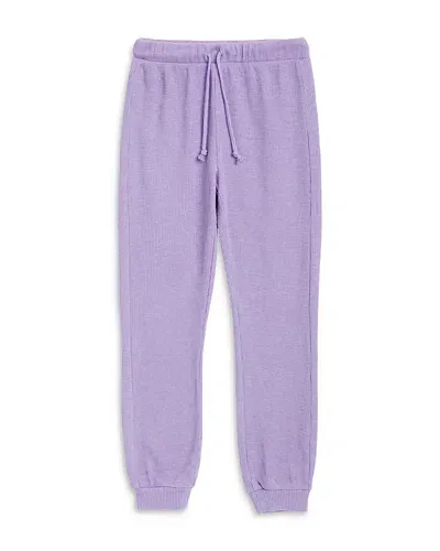 Splendid Girls' Thermal Jogger Pants - Big Kid In Hydrangea