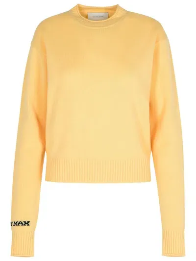 Sportmax Crewneck Long-sleeved Jumper In Yellow