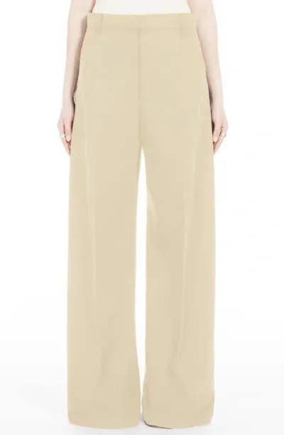 Sportmax Oversize Cotton Wide Leg Pants In Blue Beige