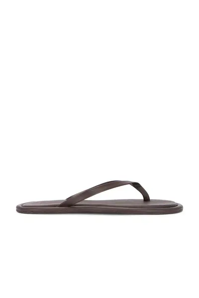 St Agni Flip Flop In Chocolate