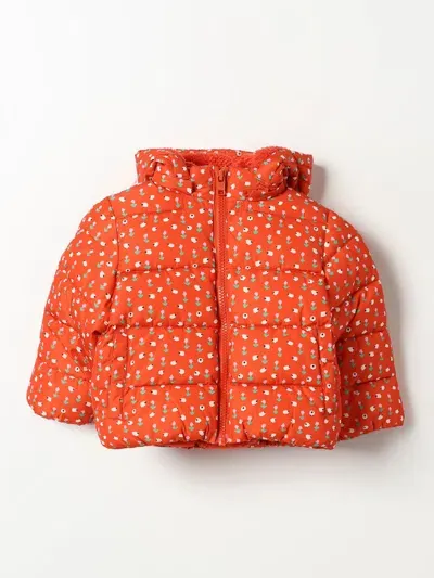 Stella Mccartney Jacket  Kids Kids Color Red In Rot