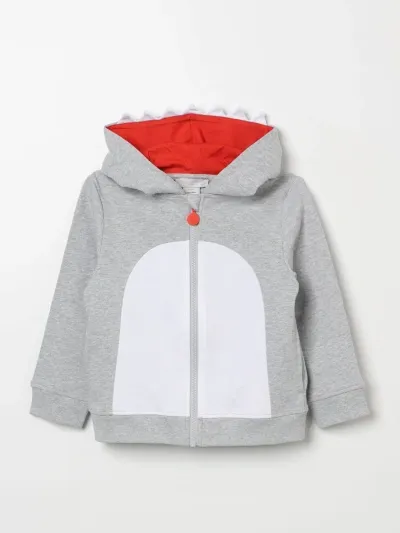 Stella Mccartney Sweater  Kids Kids Color Grey