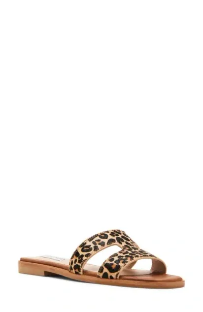 Steve Madden Hazel Genuine Calf Hair Sandal In Leopard