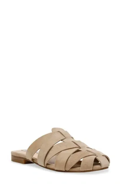 Steve Madden Jansen Mule In Sand Suede