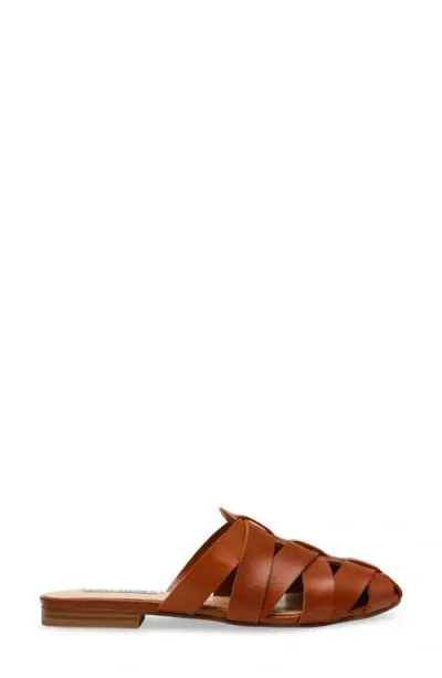 Steve Madden Jansen Mule In Tan Leather