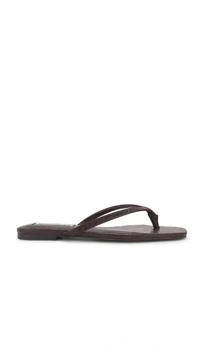 Steve Madden Marnie Flip Flops In Brown