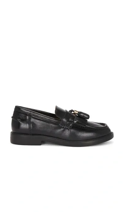 Steve Madden Radcliff Oxford In Ë¸ë