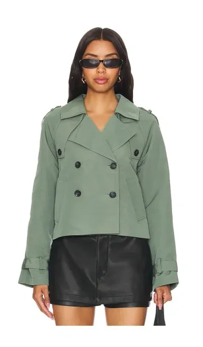 Steve Madden Sirus Jacket In Basil