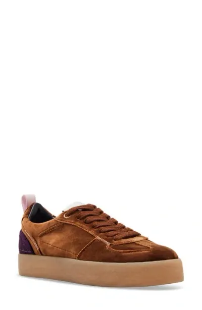 Steve Madden Tucker Platform Sneaker In Brown Multi