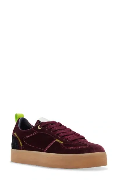 Steve Madden Tucker Platform Sneaker In Burgundy