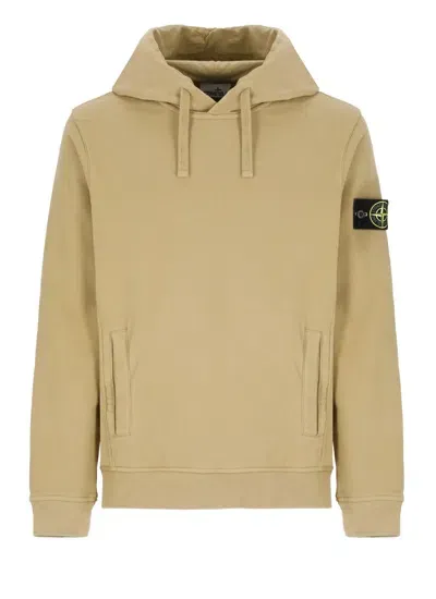 Stone Island Hoodie With Logo In Brown