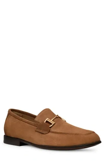 Stuart Weitzman Sw Club Luxebit Loafer Men's In Camel