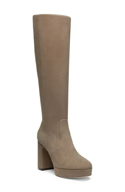 Stuart Weitzman Dayna Platform Boot In Stone