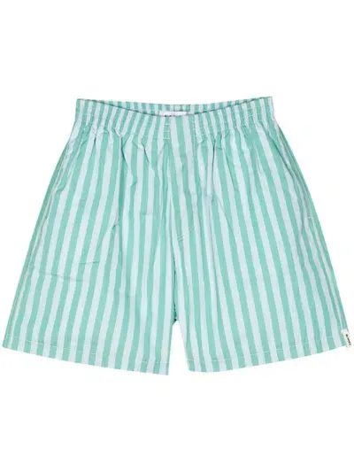 Sunnei Striped Cotton Bermuda Shorts In Multi