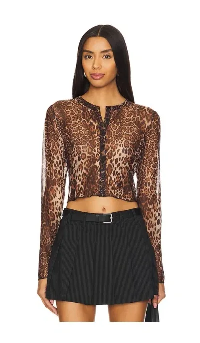 Superdown Becky Sheer Top In Brown Multi