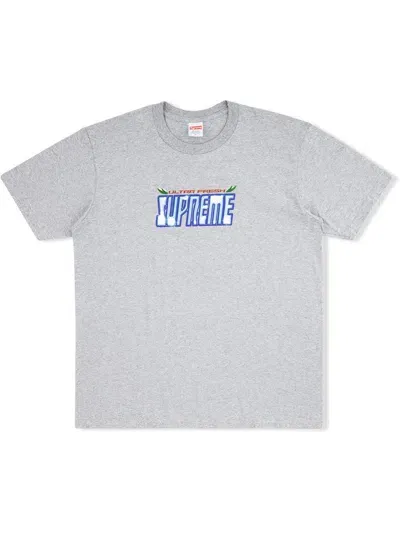 Supreme Ultra Fresh T-shirt In Grey