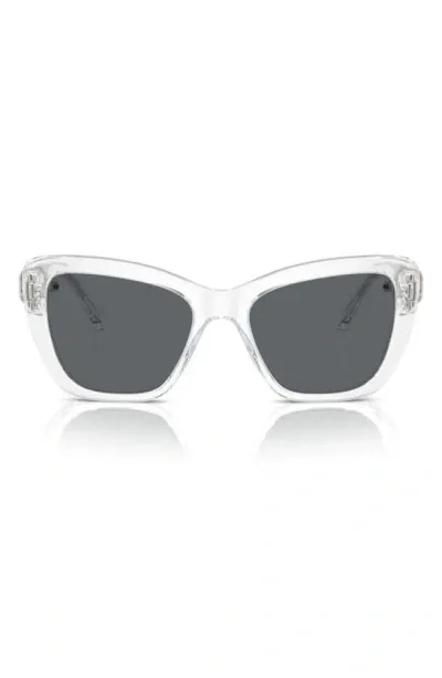 Swarovski 52mm Cat Eye Sunglasses In Crystal