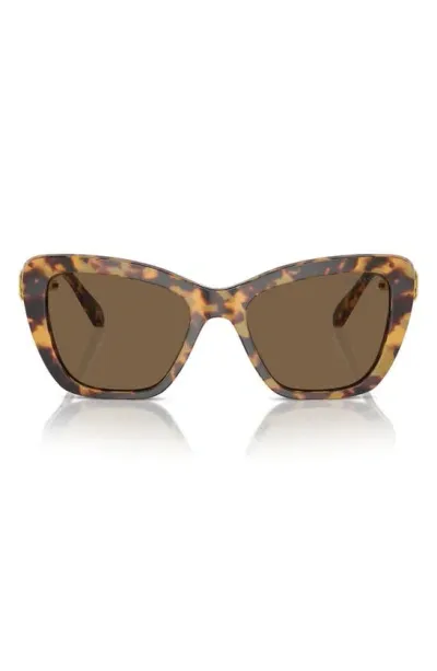 Swarovski 52mm Cat Eye Sunglasses In Havana Media