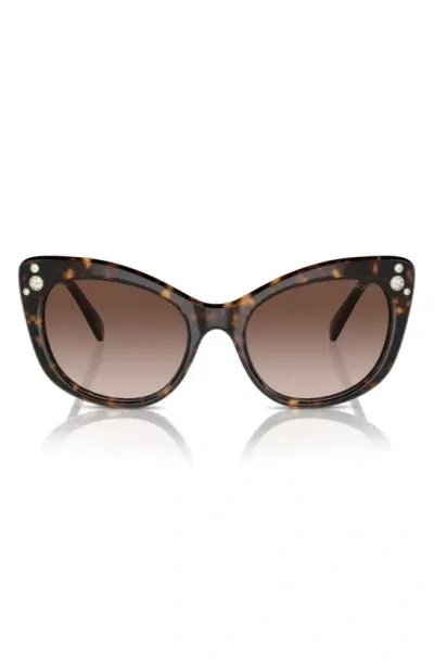 Swarovski 55mm Cat Eye Sunglasses In Havana