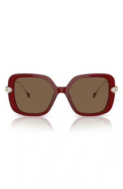 Swarovski 55mm Square Sunglasses In Dark Brown