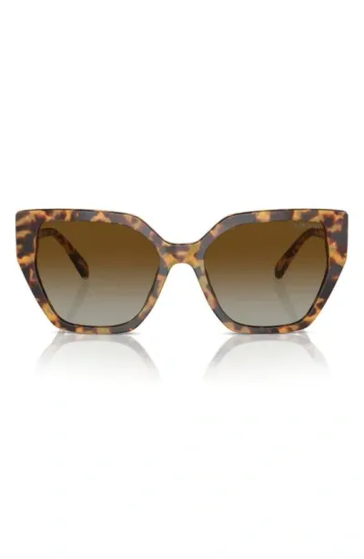 Swarovski Constella Gradient 57mm Pillow Sunglasses In Havana Transparent