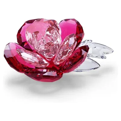 Swarovski Pfingstrose In Pink