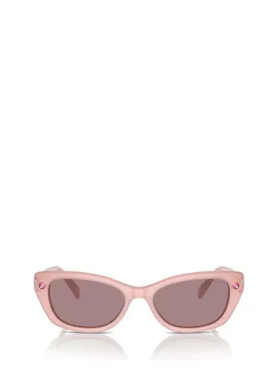 Swarovski Sunglasses In Milky Pink