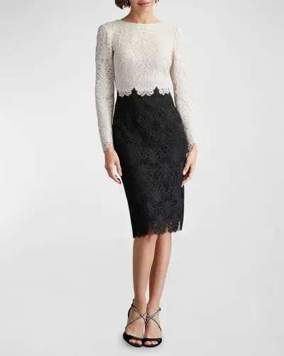 Tadashi Shoji Two-tone Corded Lace Dress In Ivory Black