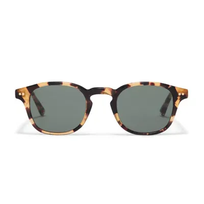 Taylor Morris Eyewear Eagle In Green