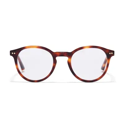 Taylor Morris Eyewear Tm011-c2 In Blue