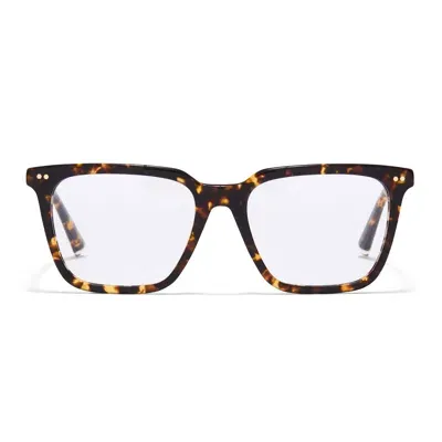 Taylor Morris Eyewear Tm012-c4 In Brown