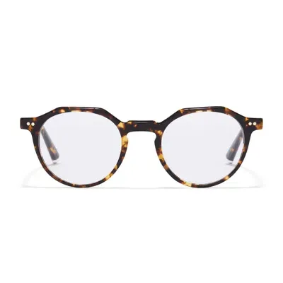 Taylor Morris Eyewear Tm019-c3 In Black