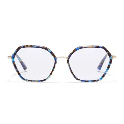 Taylor Morris Eyewear Tm023-c2 In Blue