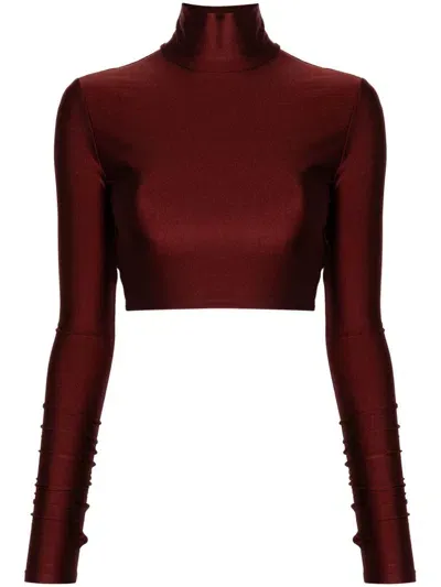 The Andamane Orchid Crop Top In Bordeaux