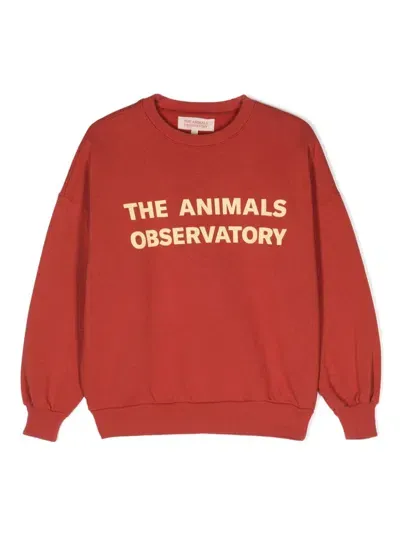 The Animals Observatory Kids' Leo Cotton Sweatshirt In Red