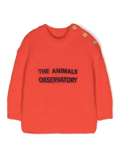 The Animals Observatory Babies' Logo-print Brushed Jumper In Orange