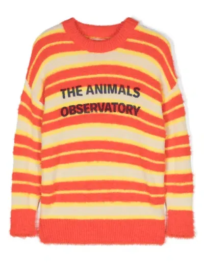 The Animals Observatory Kids' The Stripes Bull Brushed Jumper In Orange